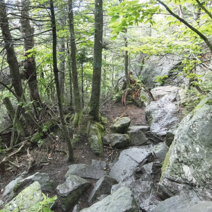 Near Halfway House Trail to Sunset Ridge Near Halfway House Trail to Sunset Ridge