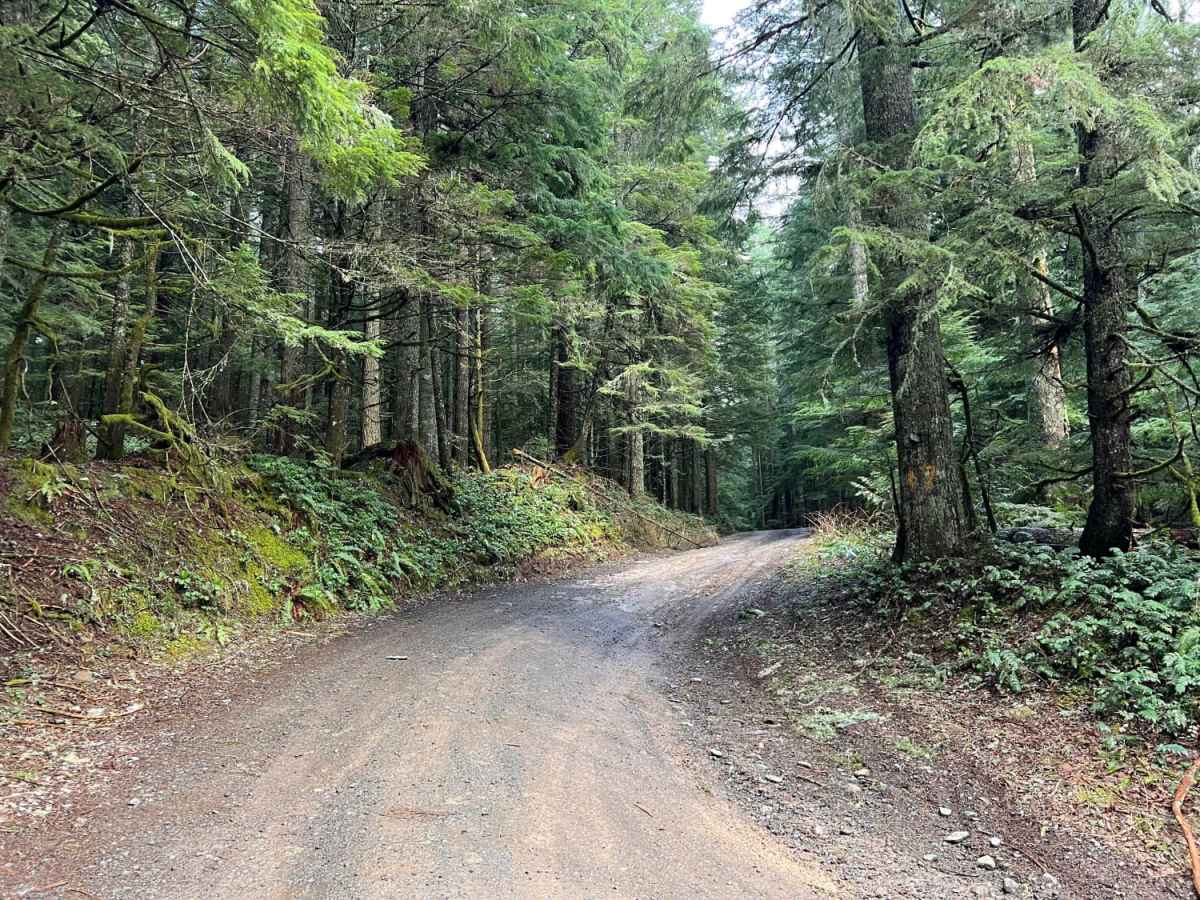 Green Mountain Gravel Pits trail photo