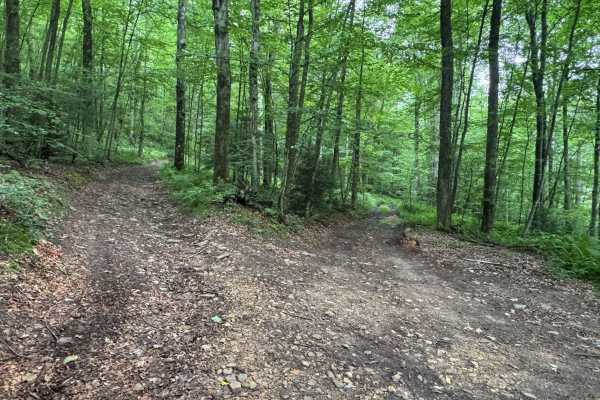 Trail 4