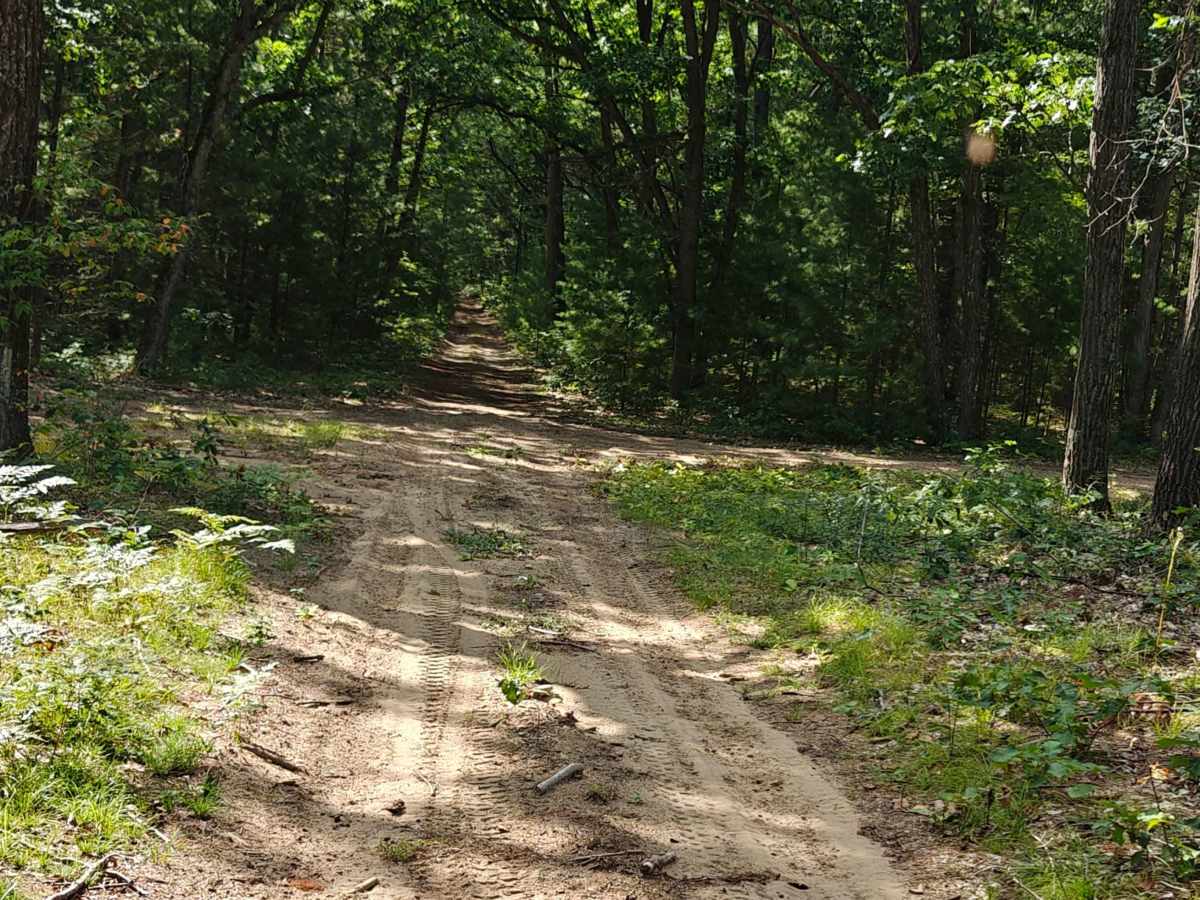 Border Trail photo 5