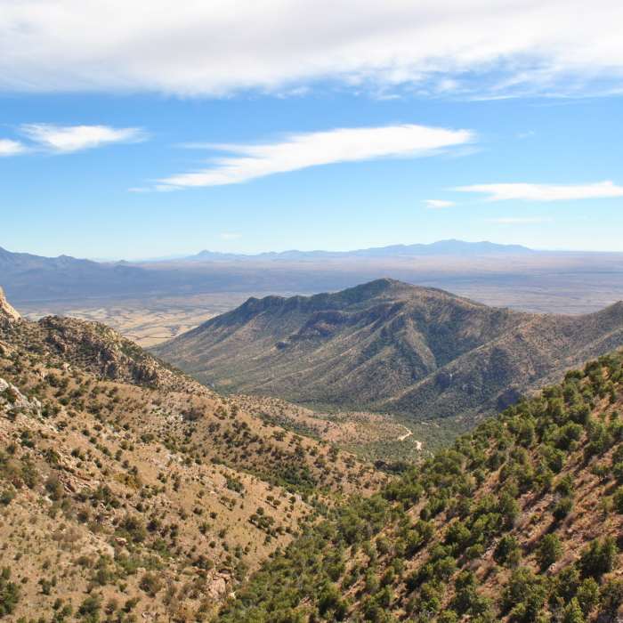 View SE towards beginning of trail. Near Arizona Trail Passage 1: Huachuca Mountains