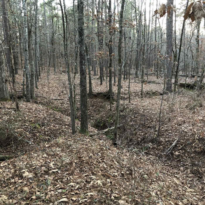 3 wash basins forming into 1. Near Turkey Run