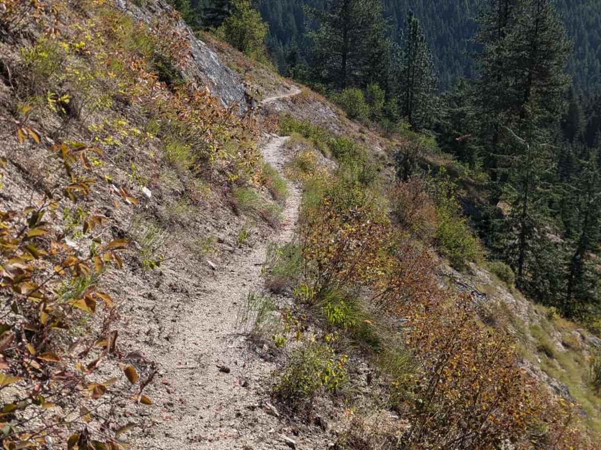 Fish Butte trail photo