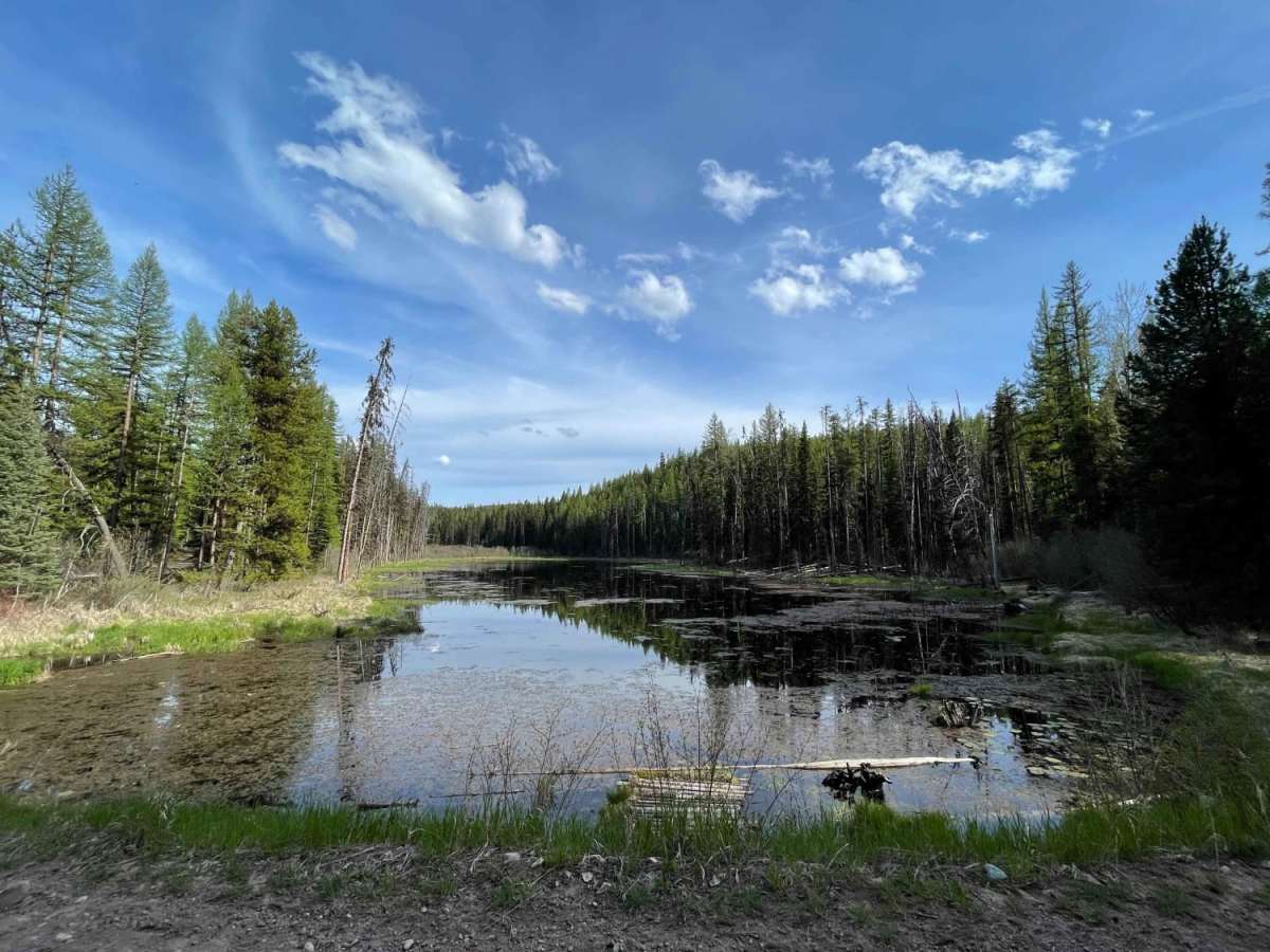 Beaver Creek Trailhead photo 3