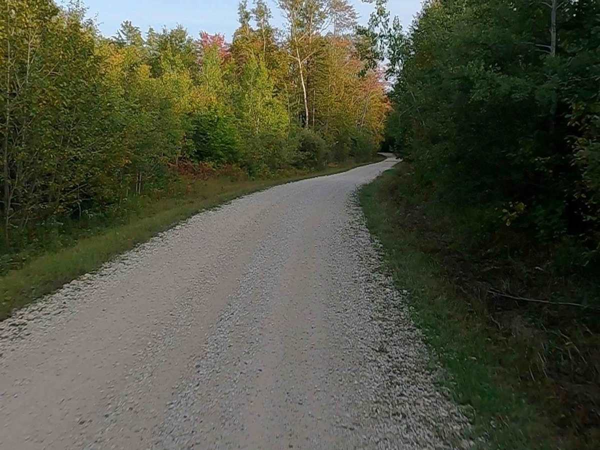 Red Creek Road - FS 3118   trail photo