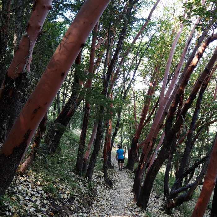 Near Britt Woods Loop