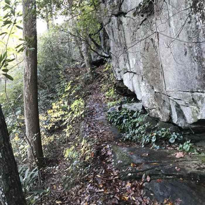 Near Frank Coggins Trail