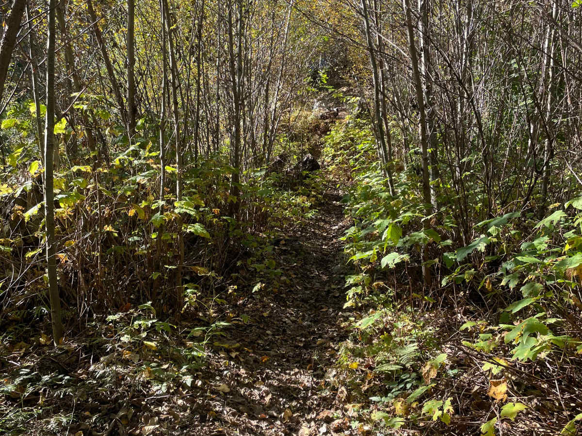 Lower Hydro Hill photo 6