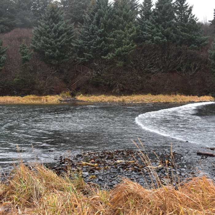 Low tide crossing point Near Island Trail