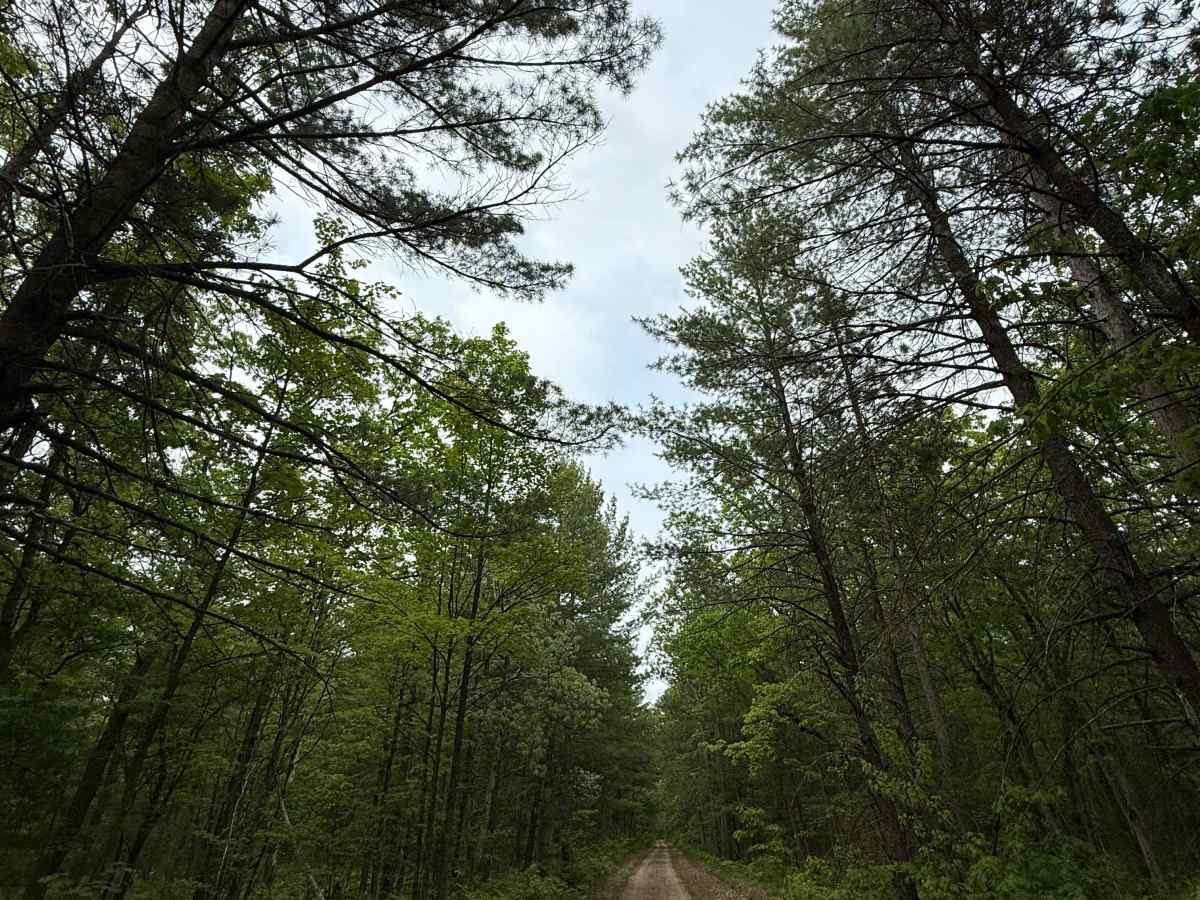 Crofton Road Trail photo 5