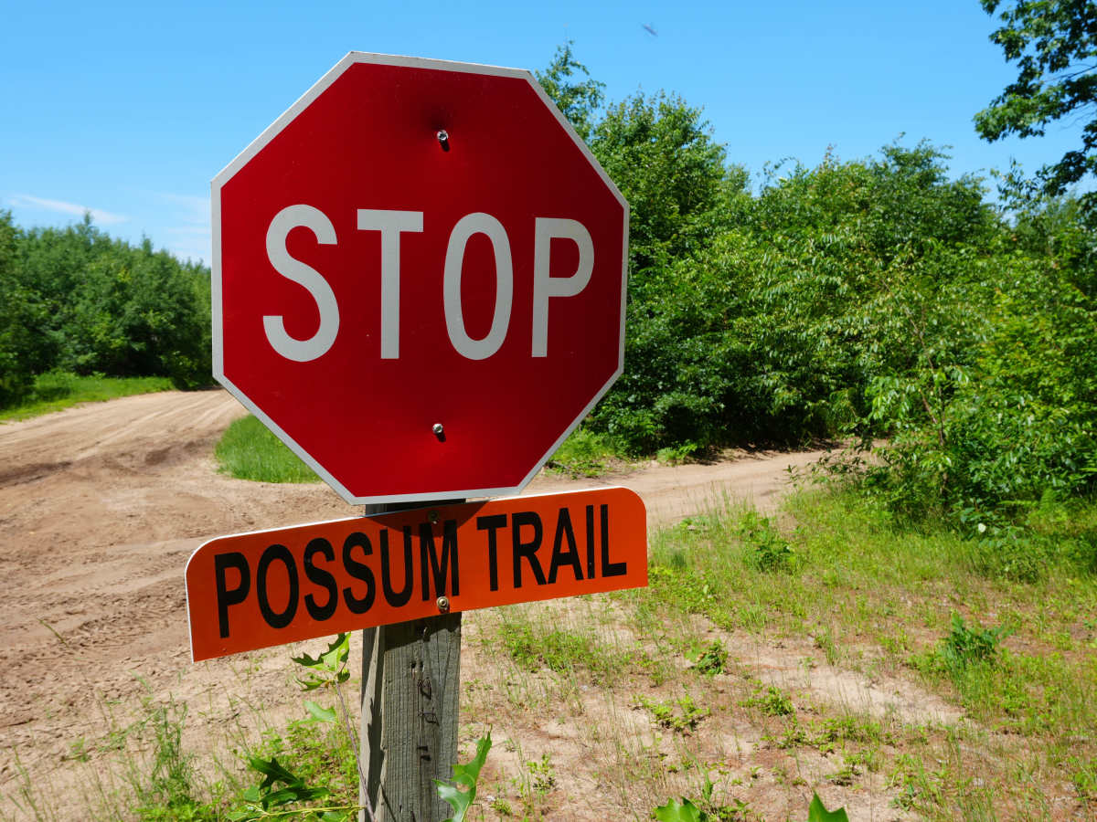 Possum Trail trail photo