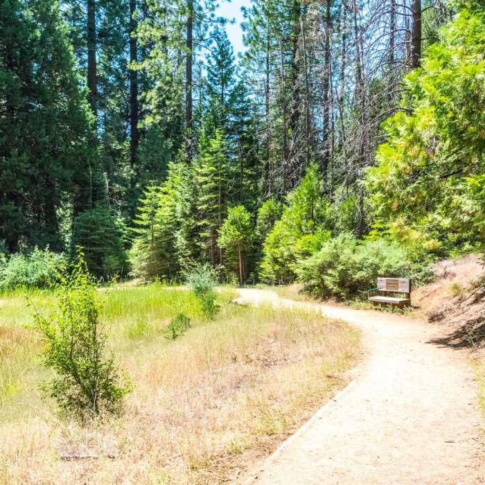 Near South Grove Trail