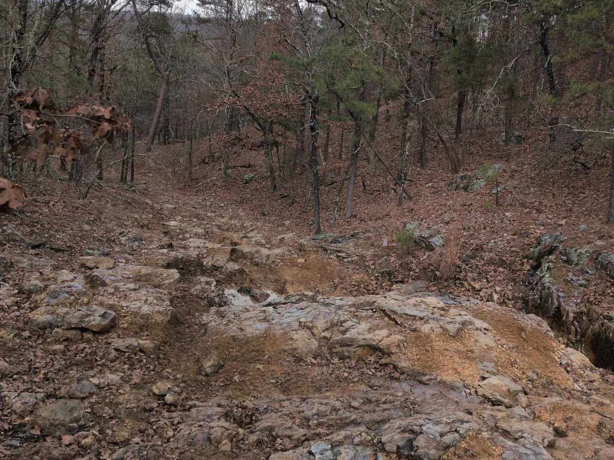 F47 Shaffner's Hollow photo 3