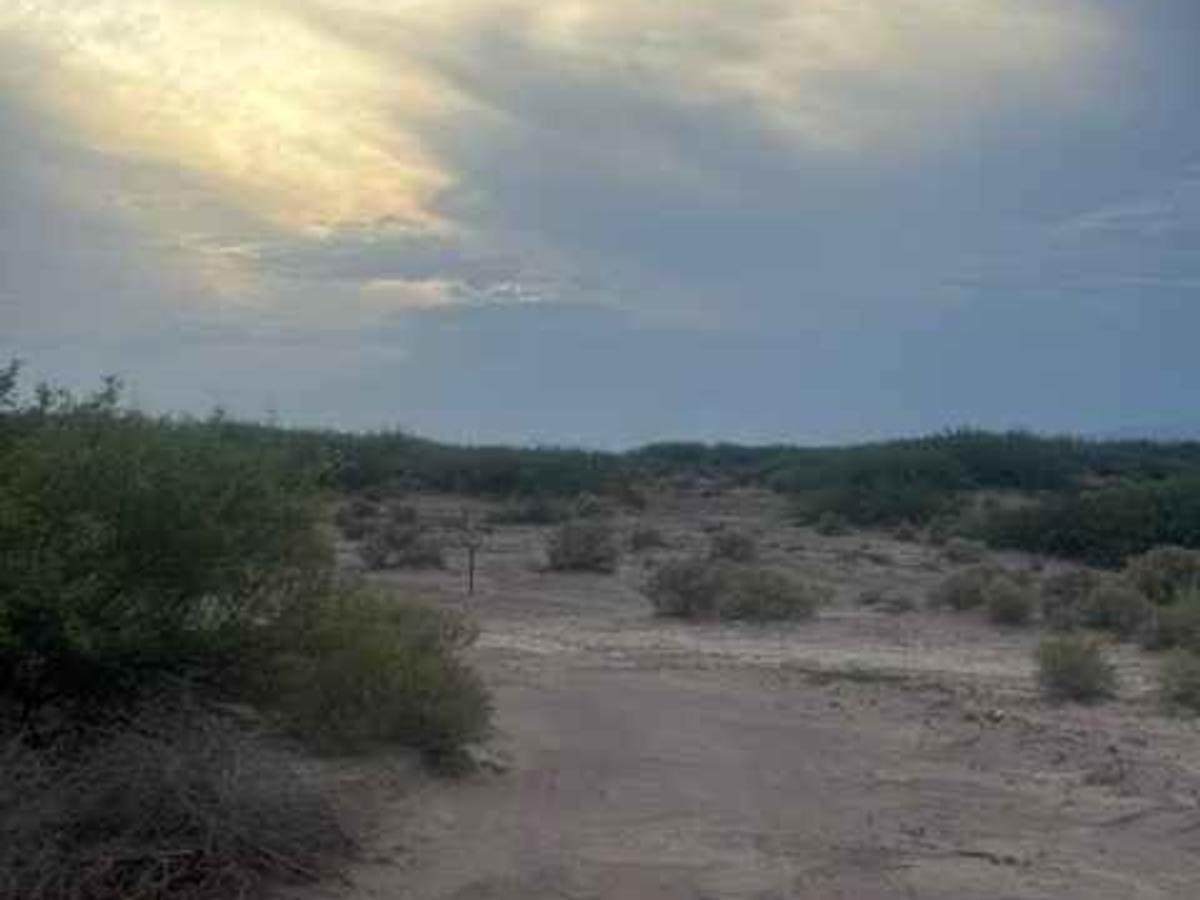 SS1106 photo 5