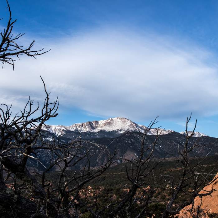 Near Ridge Trail
