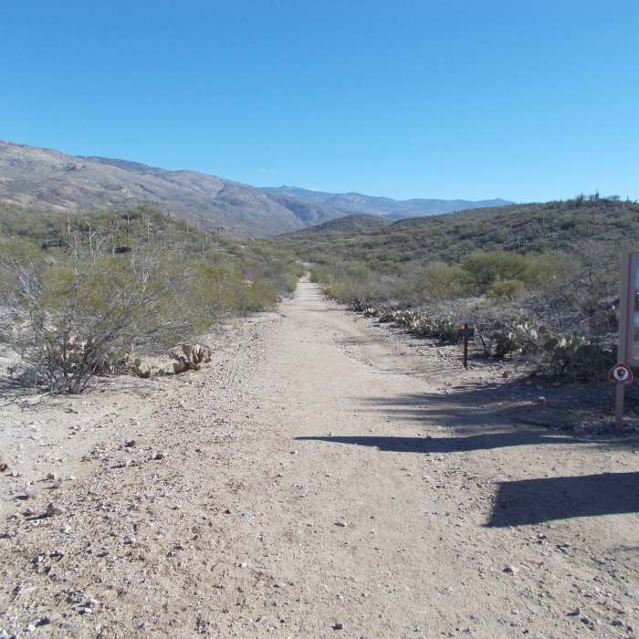 Near Hope Camp Trail