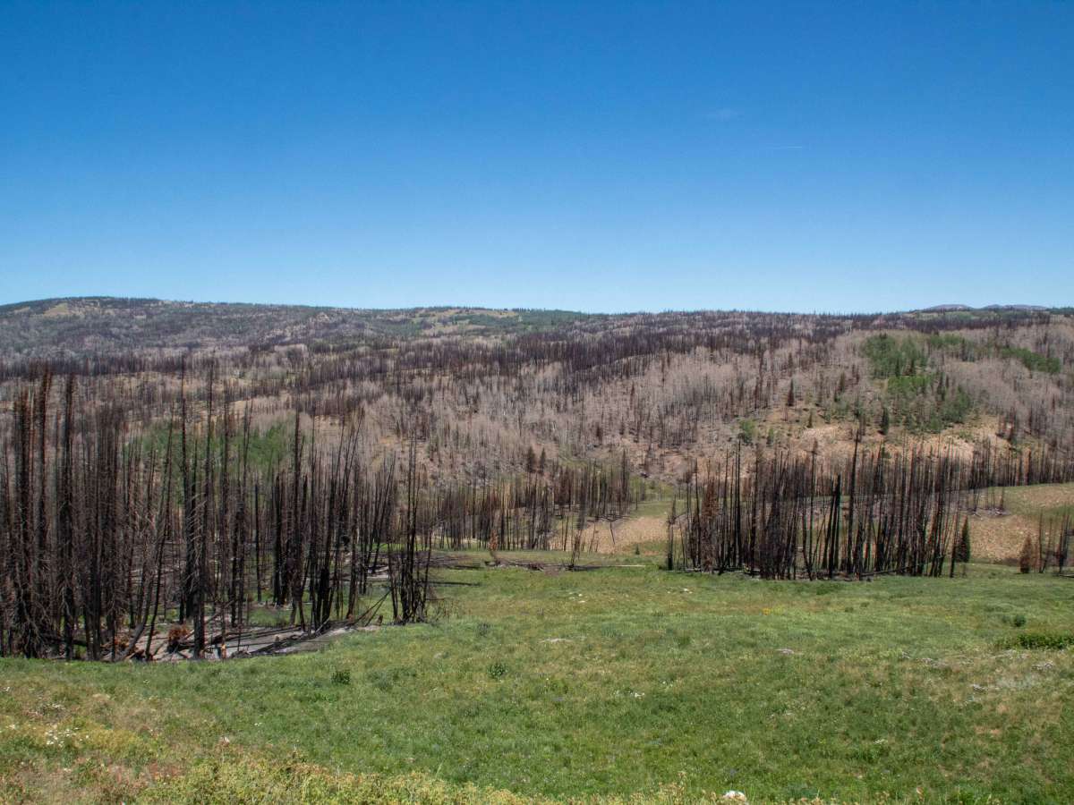 Cold Springs photo 5