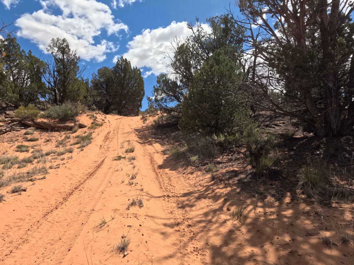 BLM 101F photo 3