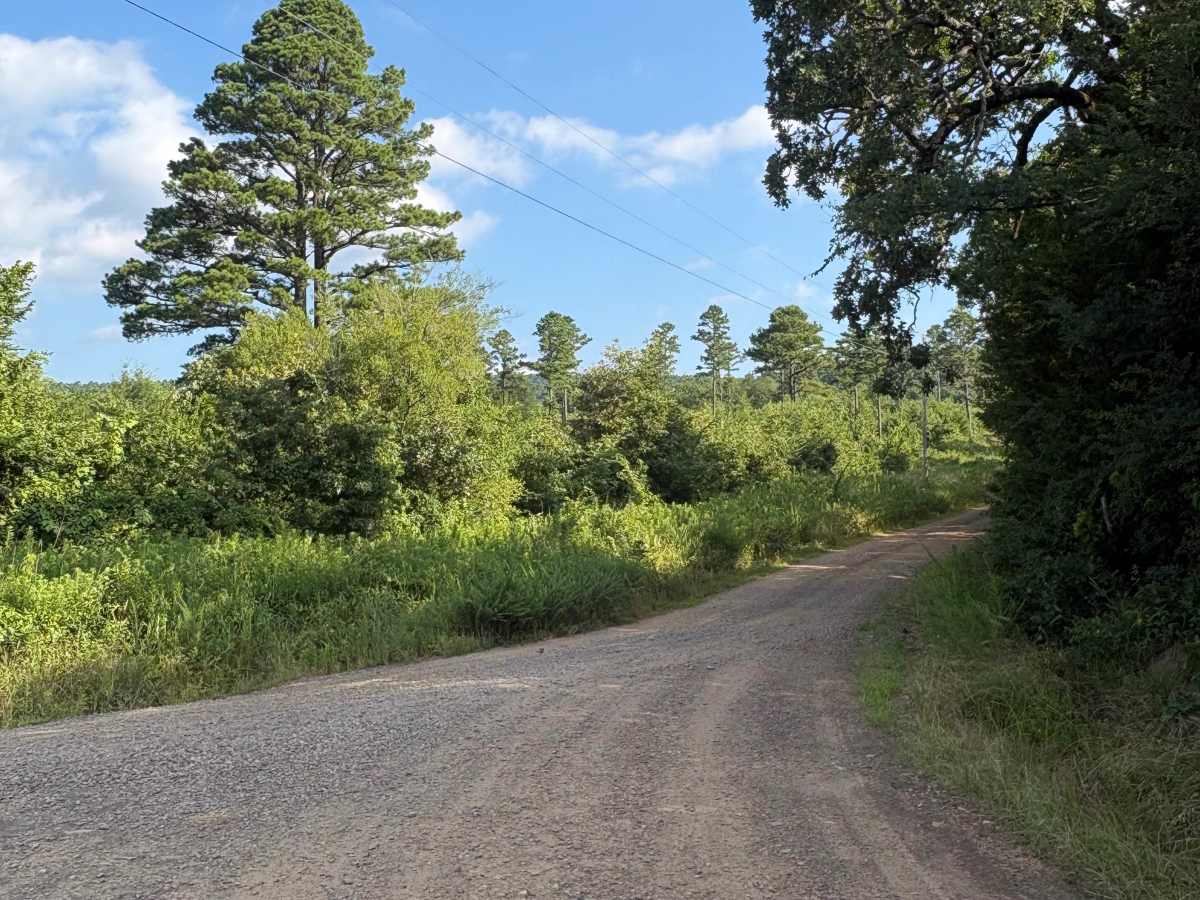 Lower Haw Creek Road photo 5