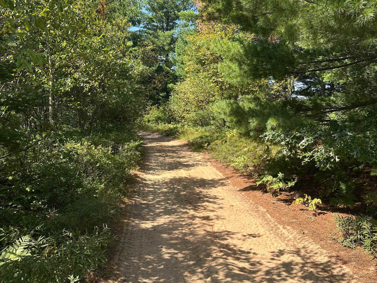 Muskrat Trail photo 2