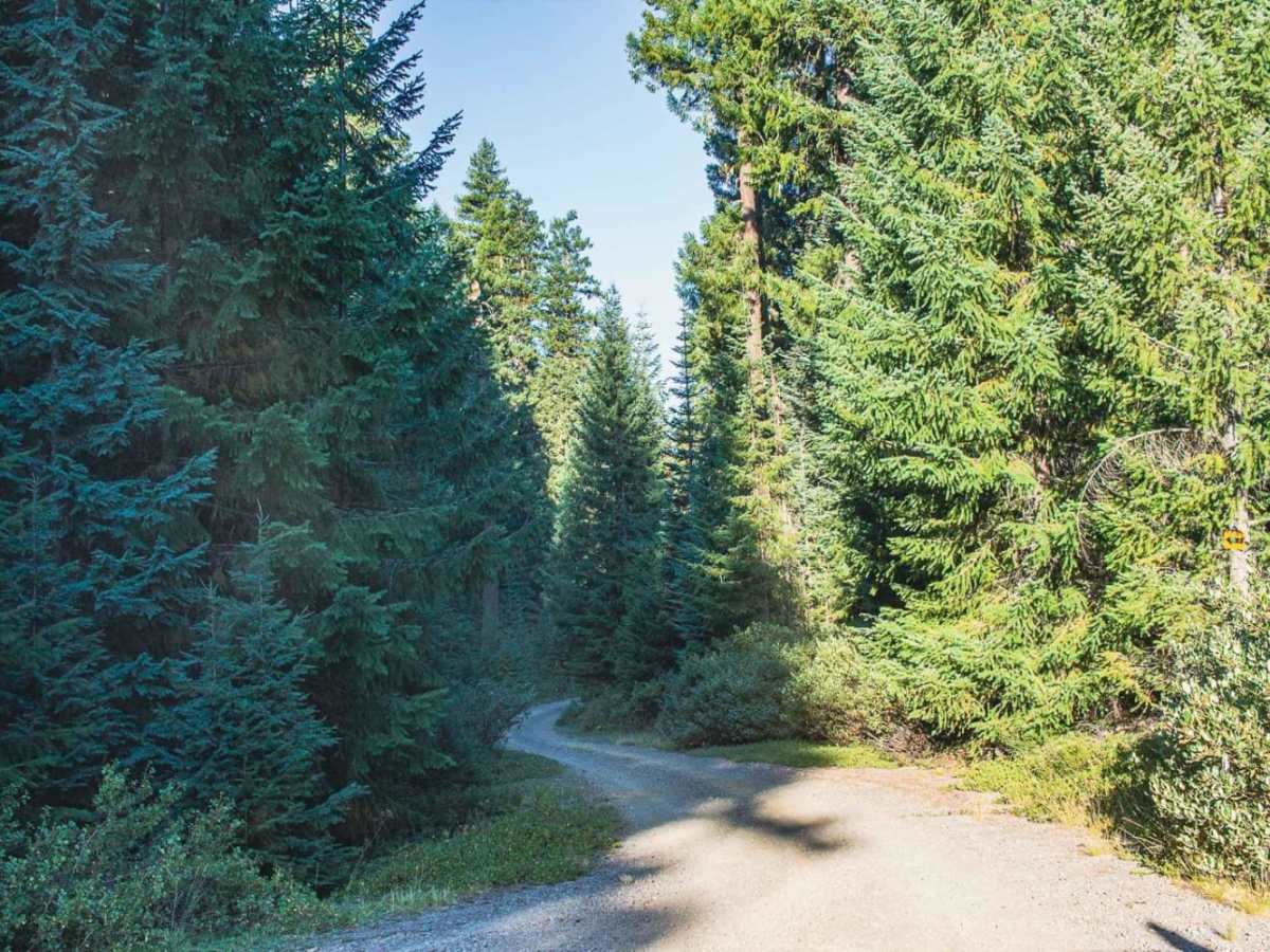 Lost Creek Loop photo 5