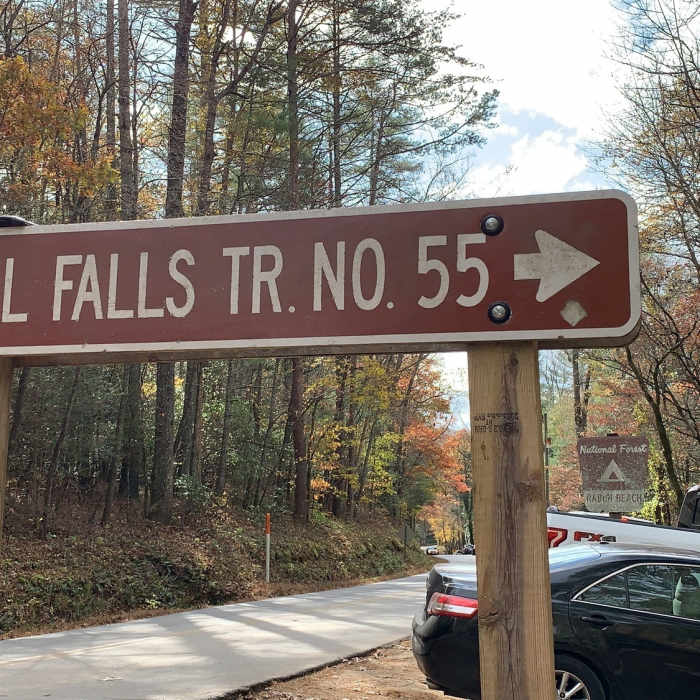 Near Angel Falls Trail #55