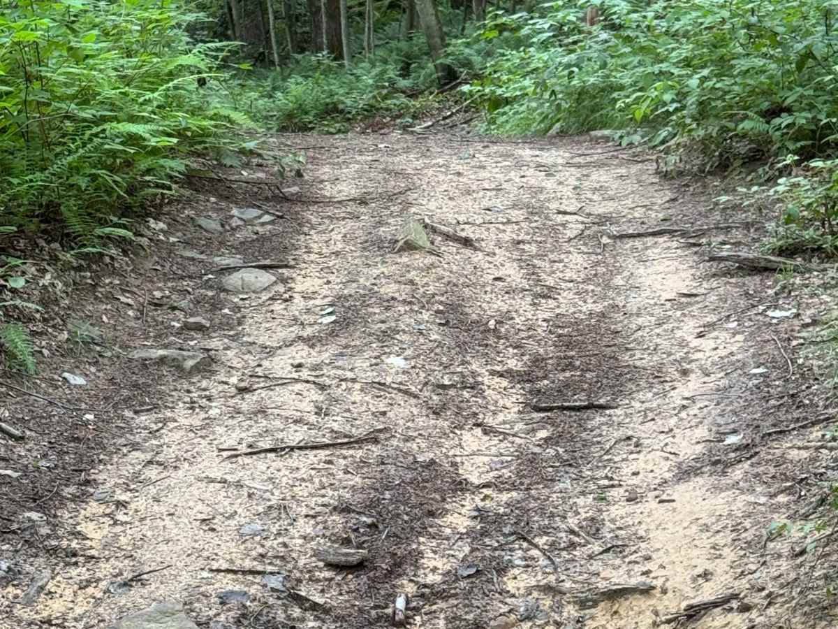 Trail 30 photo 2