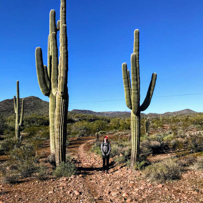 Near Black Canyon Trail: Table Mesa to Emery Henderson