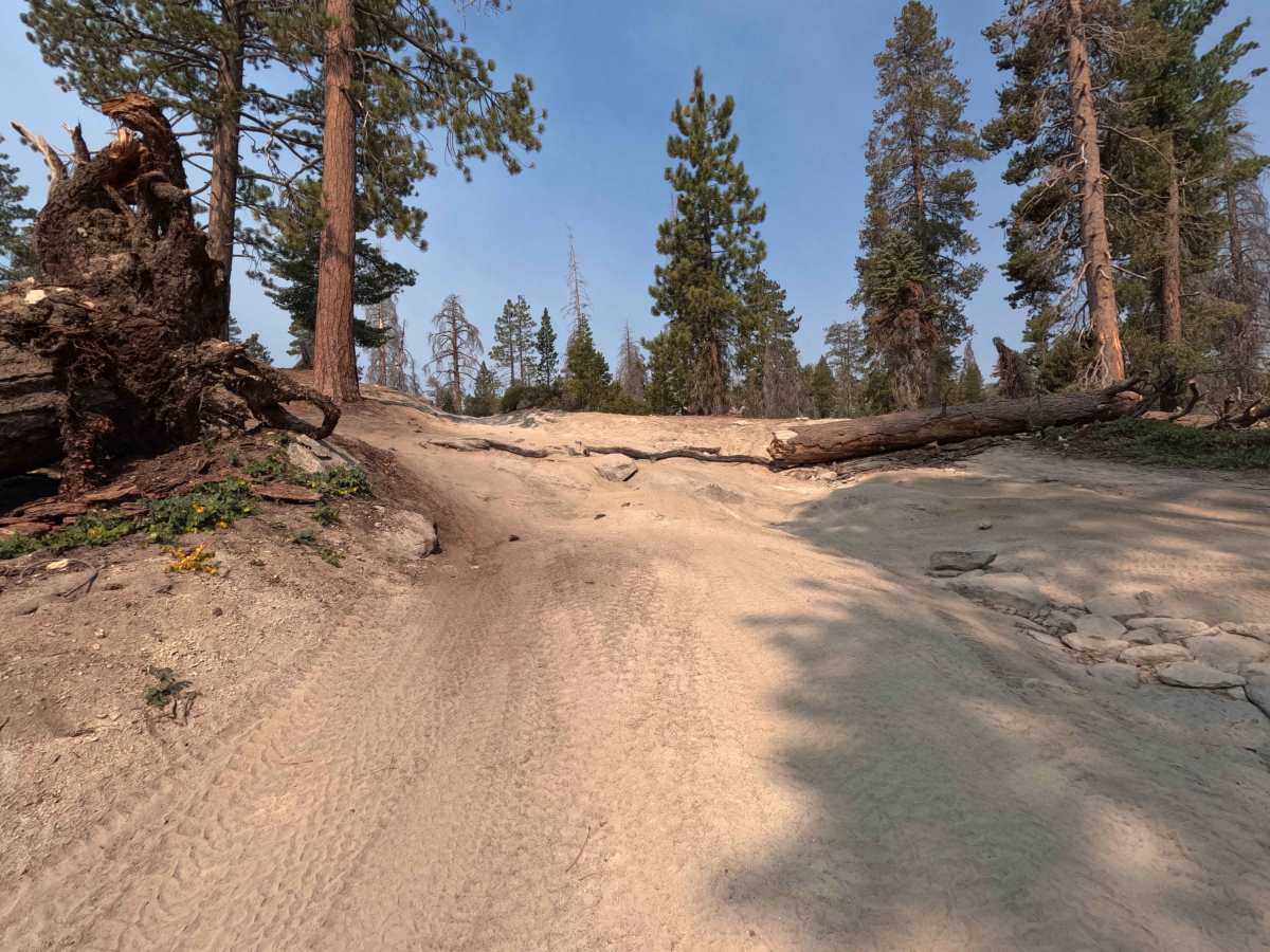 Bald Mountain - FS 26E219 photo 5