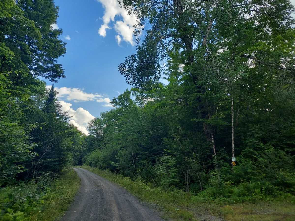 Evergreen Way trail photo