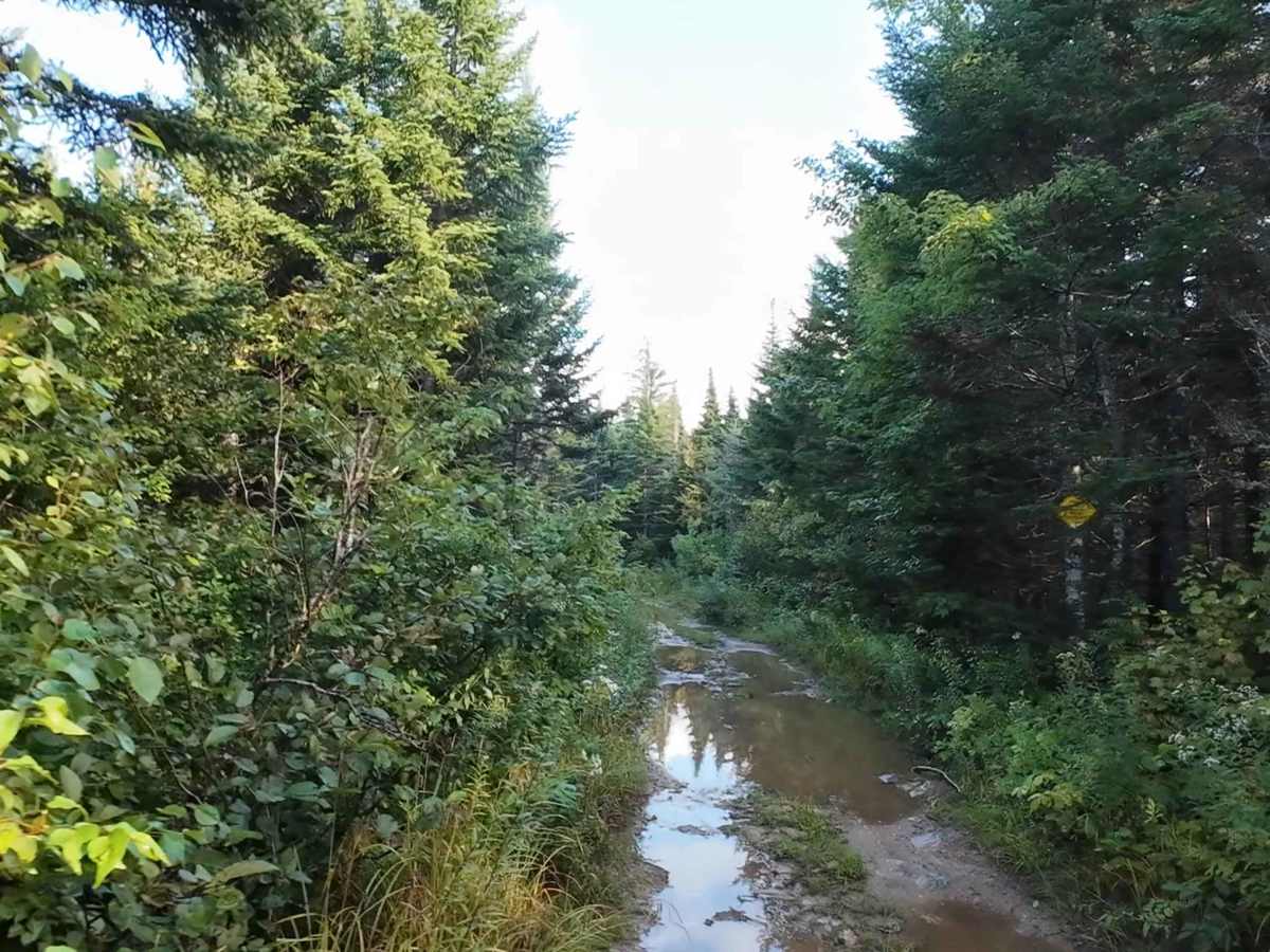 West Branch Turtle Creek photo 5