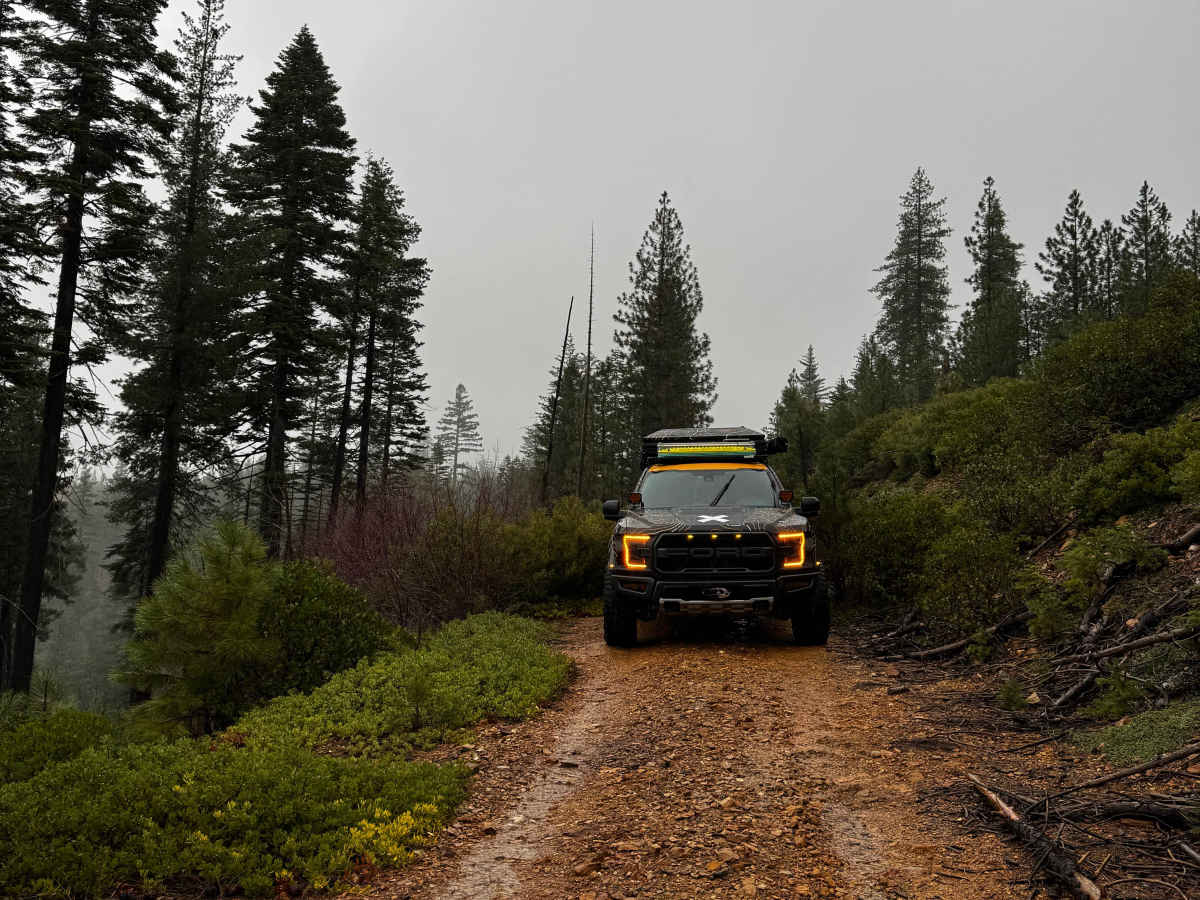 Screwauger Split trail photo