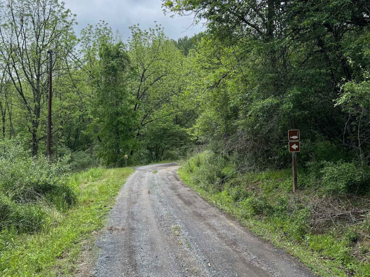 Hidden Valley Road photo 6
