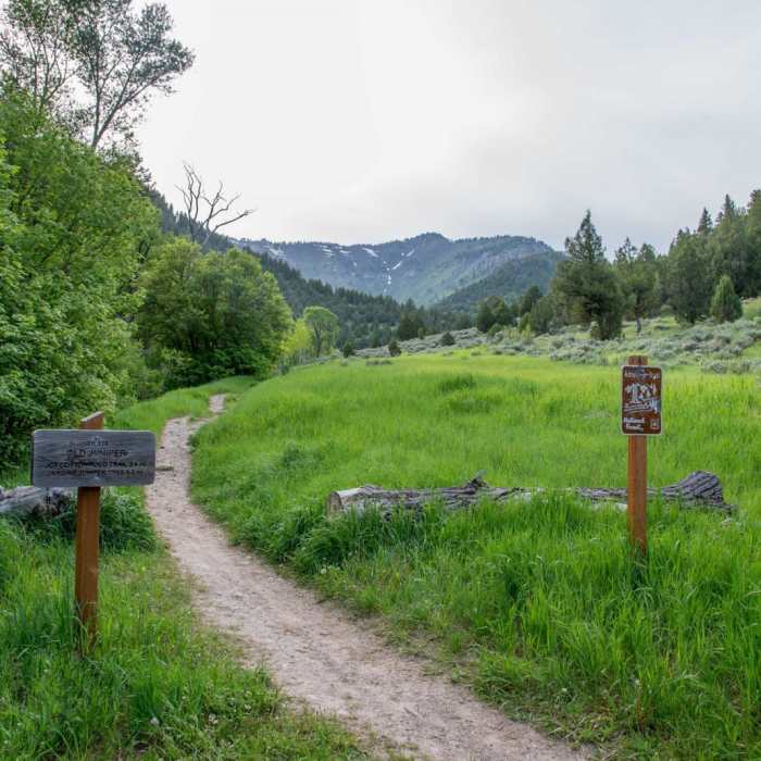 Near Wood Camp Hollow