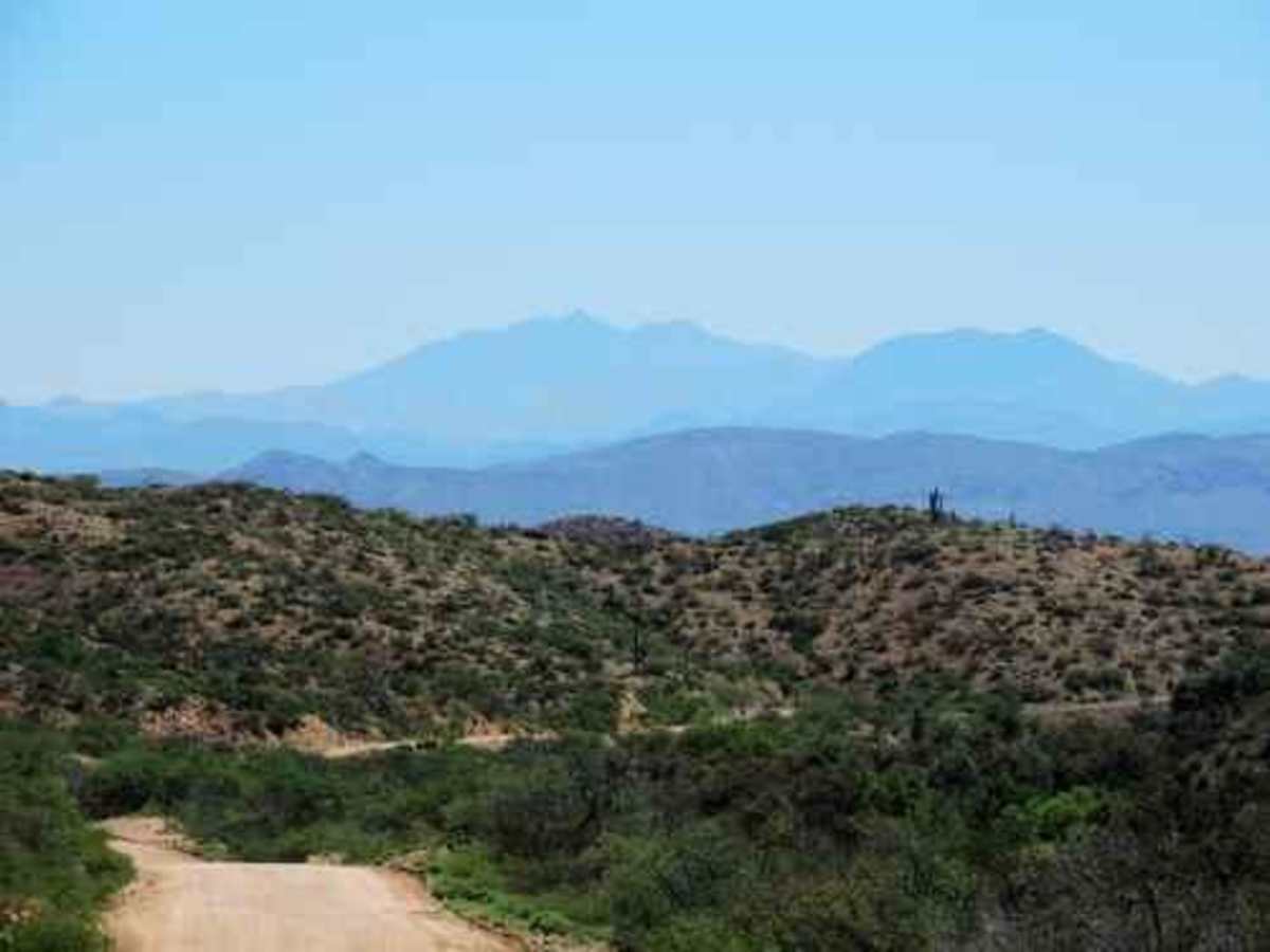 Old 96 Ranch photo 5