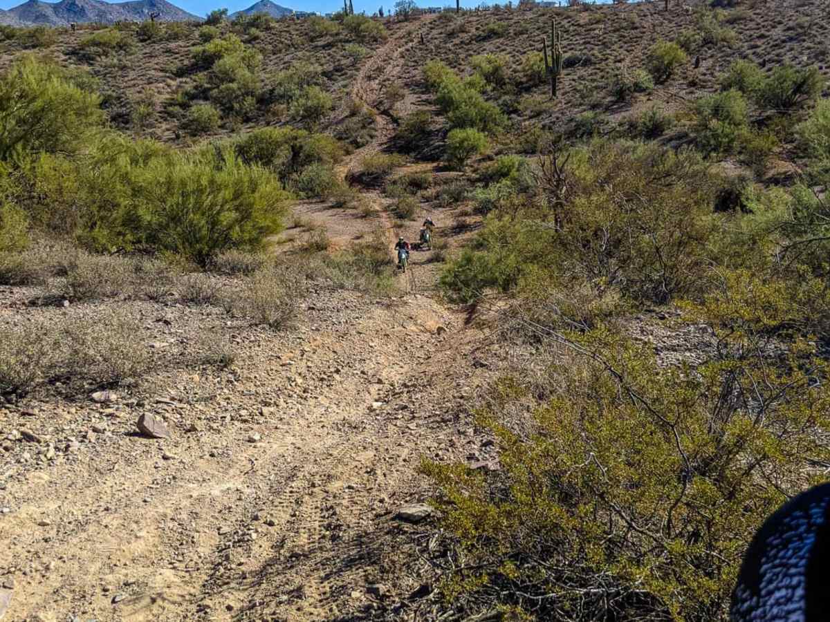 Ox Wash Singletrack photo 3