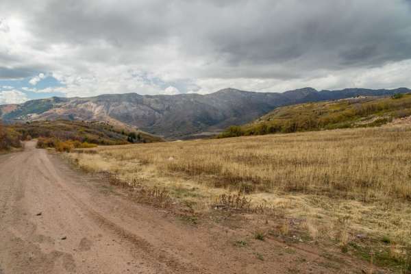 Liberty Avon Road
