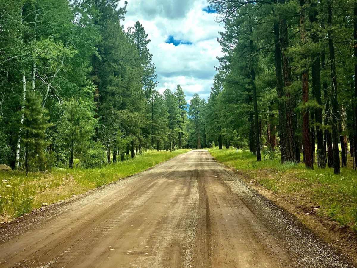 Piedra Road FR 631 photo 6