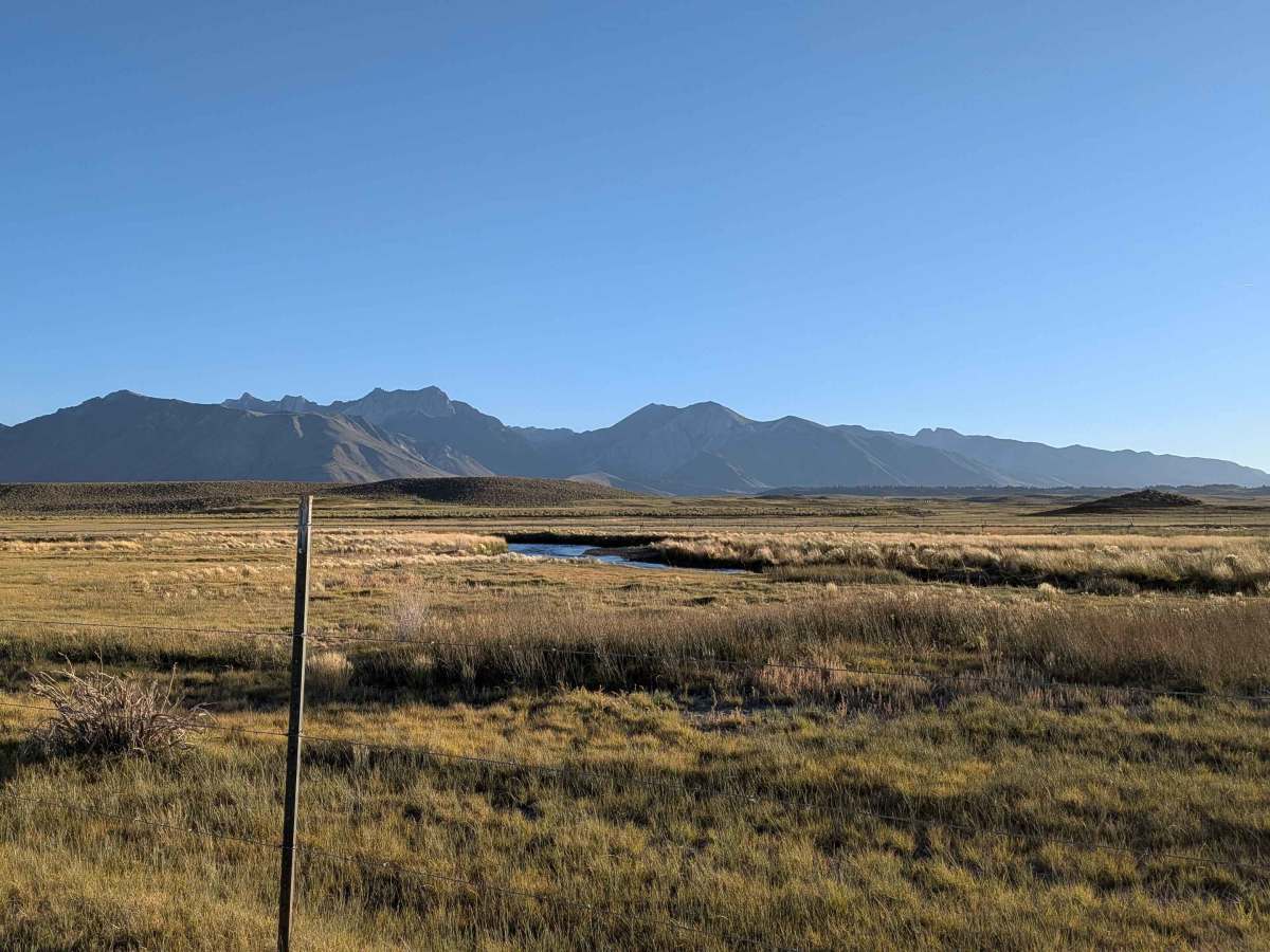 South Owens River Access photo 2