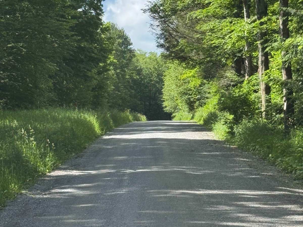 Billy Lewis Road photo 2