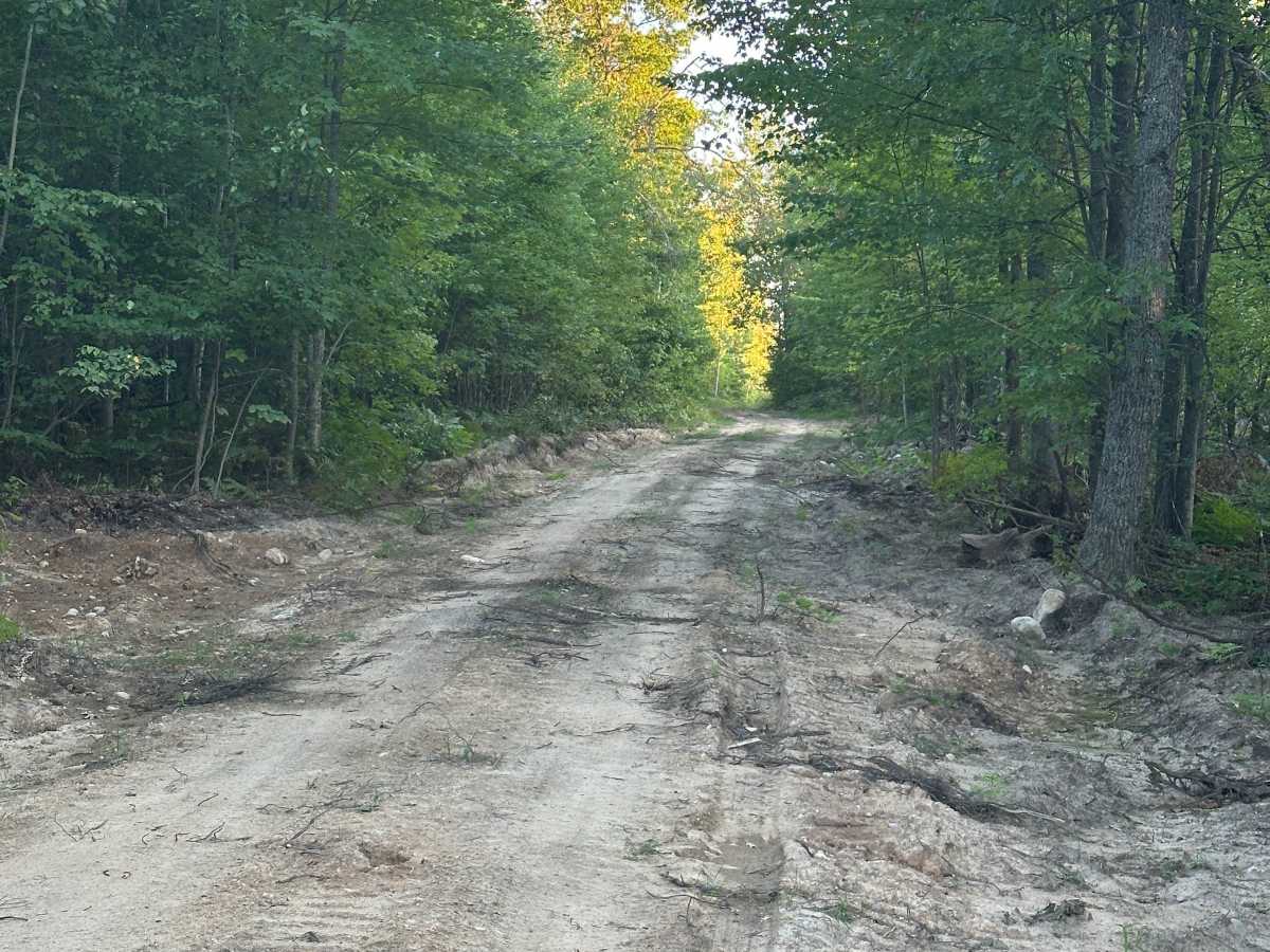 Dunsmore Cutover photo 3