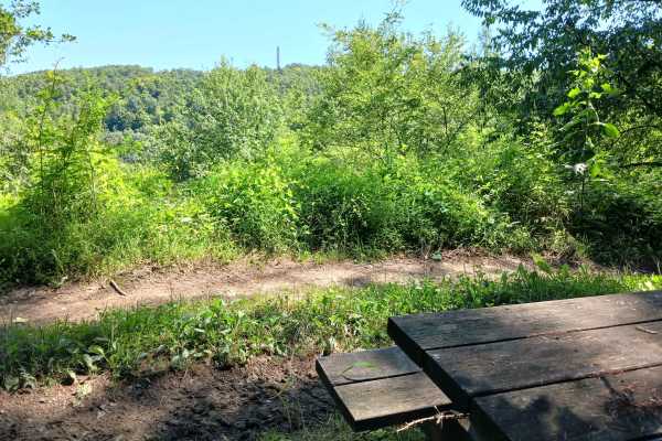 Trail 13H - Rock Run Recreation Area