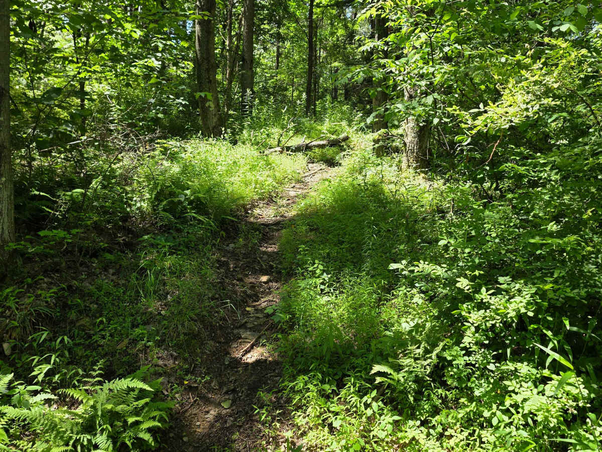 Single Track GG1 photo 2