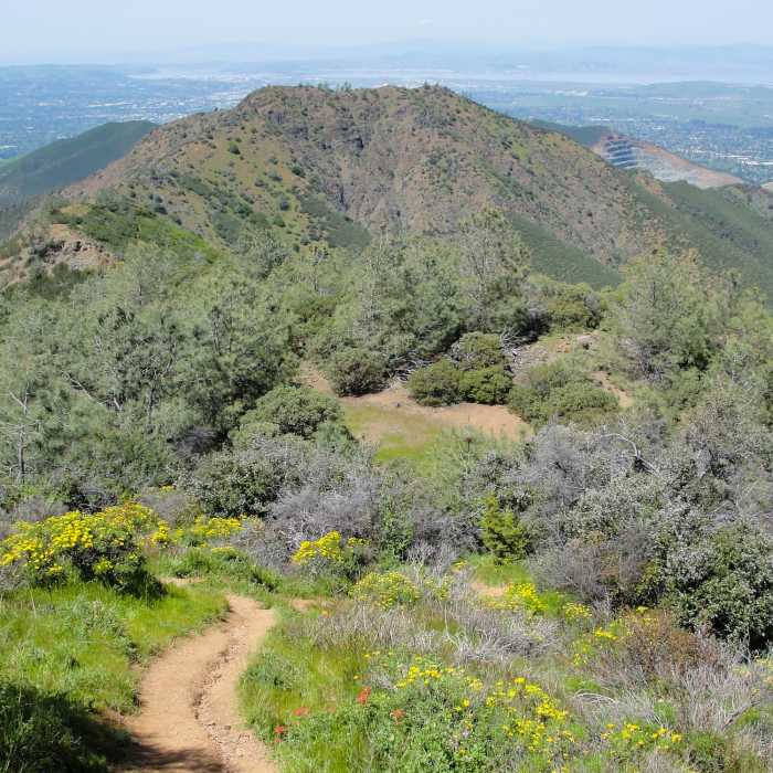 Bald Ridge Trail | Hiking Trail Maps, Difficulty, Trail Status | onX