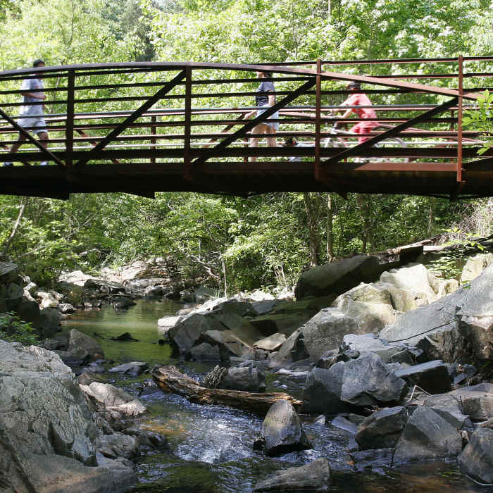 Near Clarks Creek Greenway
