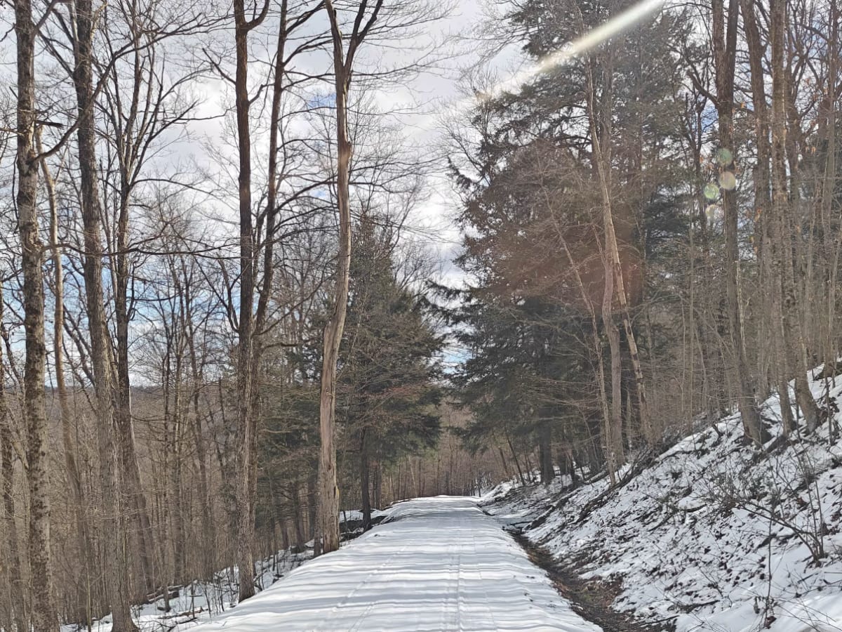 County Line FSR 120 photo 3