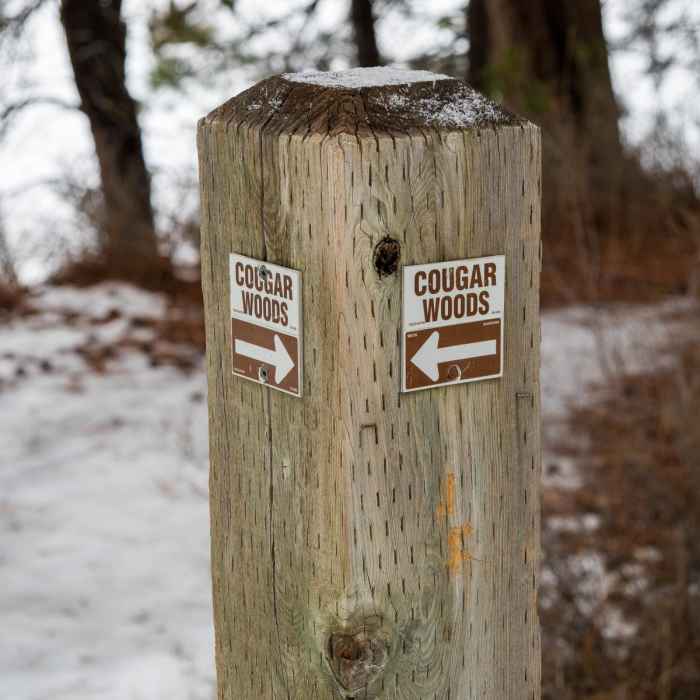 Near Cougar Woods Loop