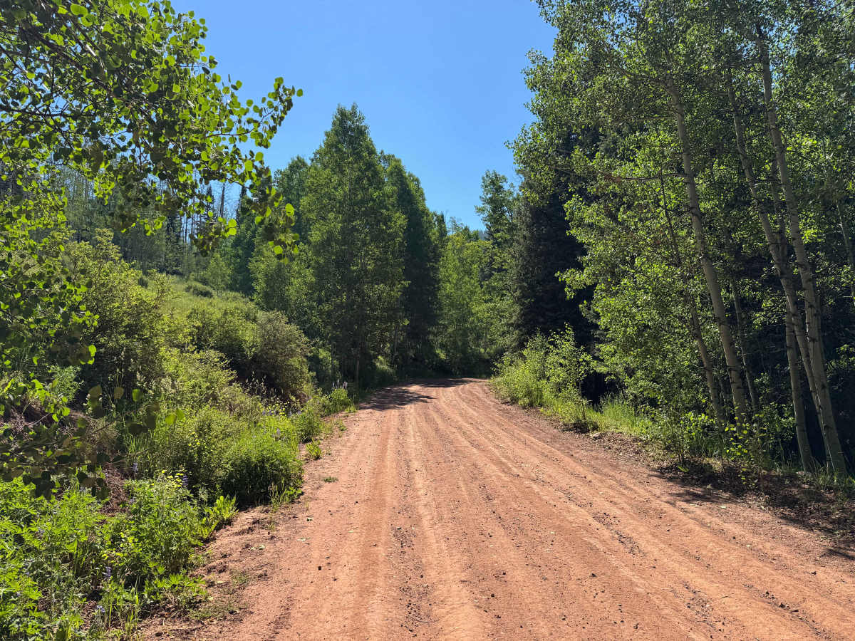Upper Gypsum Creek Road - FS 101 photo 4