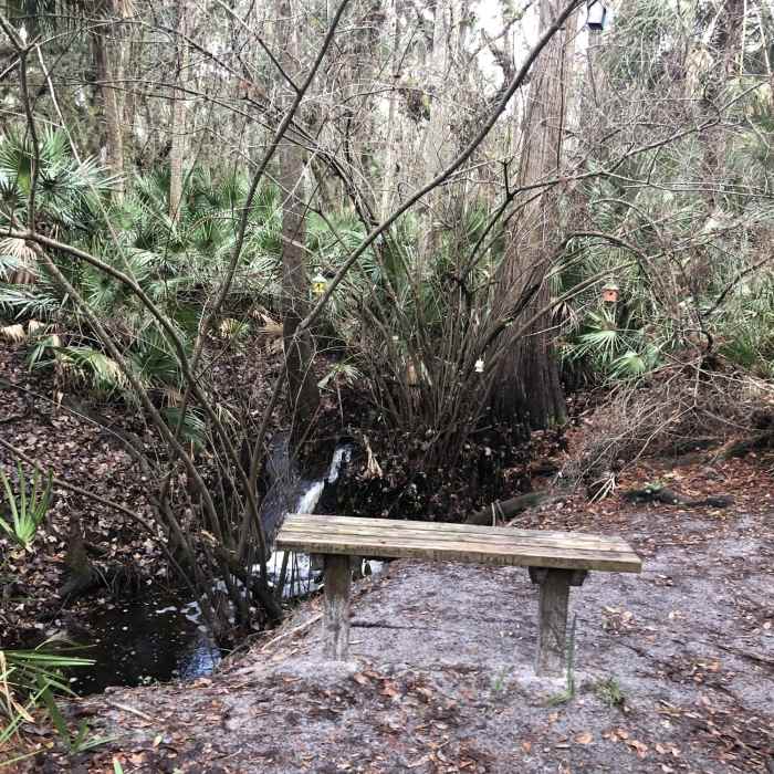 Near FNST: Lockwood Blvd to Barr St. Trailhead