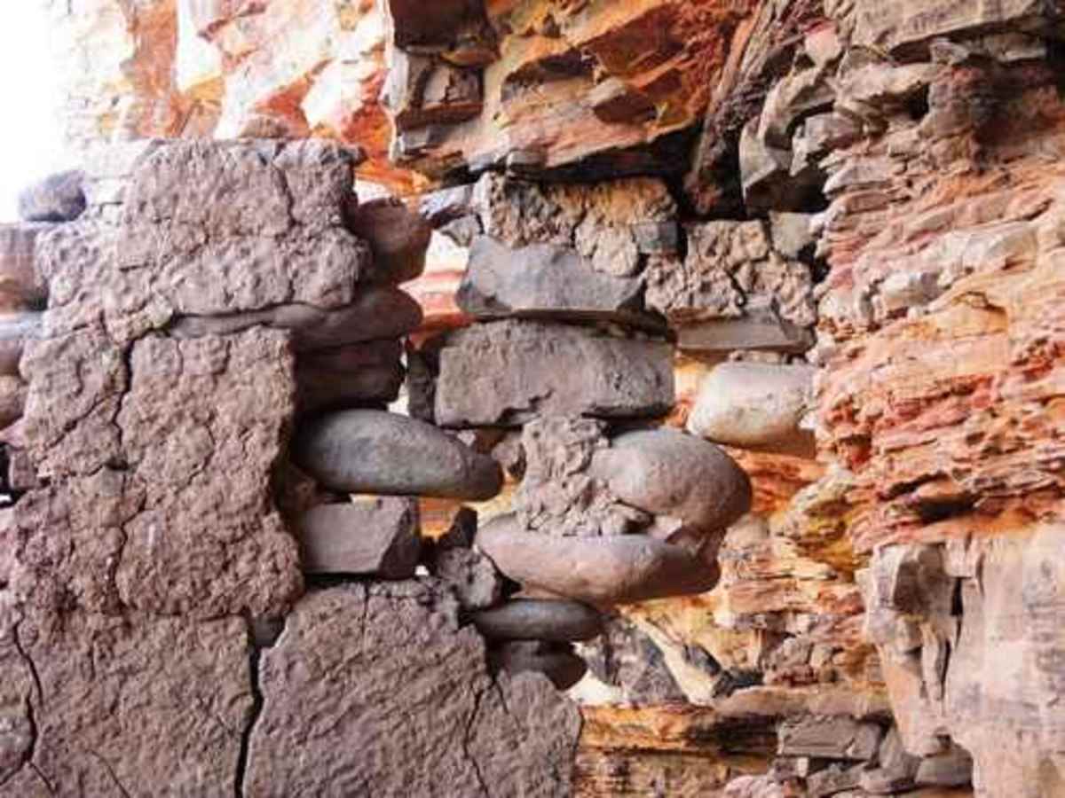 Coon Creek Ruins photo 2